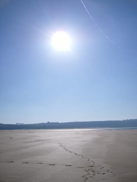 SS100391_7203.JPG