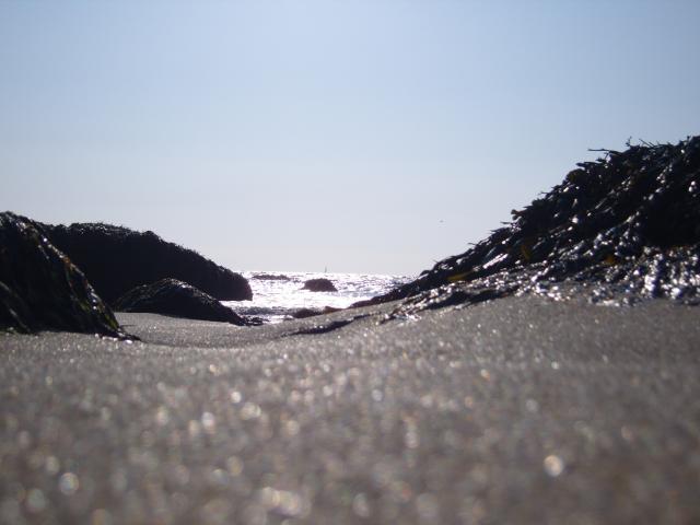 SS100433.JPG